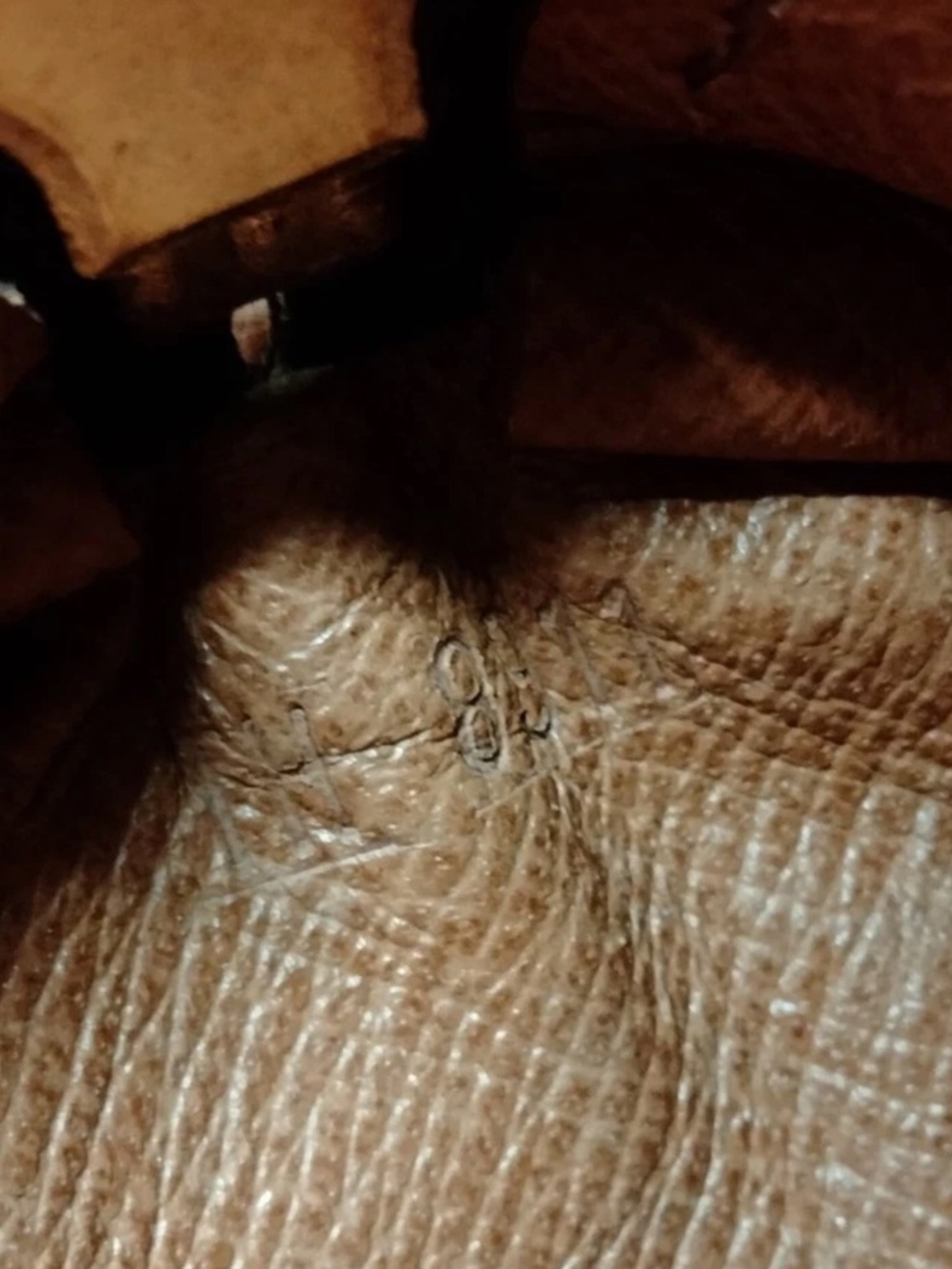 Louis Vuitton Papillon 30 Monogram - Picture 15 of 15